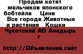 Продам котят мальчиков японского бобтейла. › Цена ­ 30 000 - Все города Животные и растения » Кошки   . Чукотский АО,Анадырь г.